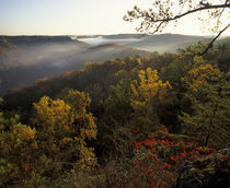 Foggy ridges of Red River Gorge geological area in autumn by Danita Delimont