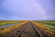 Rainbow over railroad tracks near Fairfield Montana by Danita Delimont