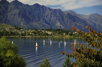 Backdrop of lake and sailboats von Danita Delimont