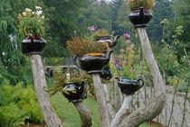 Teapots sprout from branches in a whimsical display at the Fantasy Garden in KIngsbrae Garden von Danita Delimont