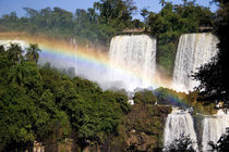 The breathtaking waterfalls of Puerto Iguazu and Foz de Iguazu (Brazil) von Danita Delimont