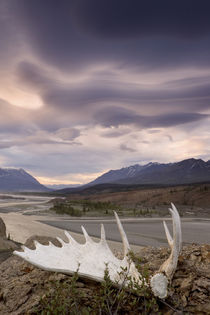 Moose antler and rugged landscape von Danita Delimont
