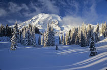 Rainier and Paradise Valley after snow storm by Danita Delimont