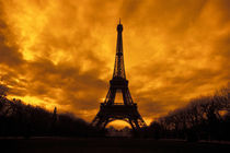 Eiffel Tower by Danita Delimont