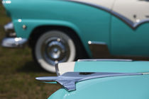 1950s-era Ford cars at an antique car show von Danita Delimont