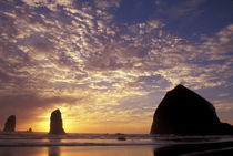 Canon Beach with haystack rock and needles by Danita Delimont