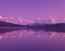 Evening light on Alaska Range from north end of Wonder Lake by Danita Delimont
