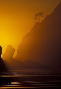 Point of Arches von Danita Delimont