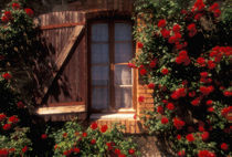 House with summer roses in bloom von Danita Delimont