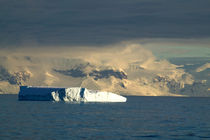 Ice Berg in the starts of the Drake Passage just off of the Antarctica Peninsula by Danita Delimont