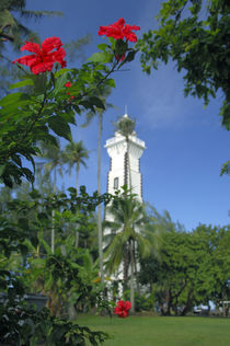 Hibiscus in front of Venus Point Lighthouse (aka Pointe Venus) von Danita Delimont