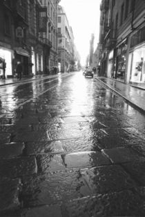 Wet Street Evening by Danita Delimont