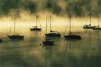 The early morning sun burns off a mist on Lake Dillon where boats lie at anchor von Danita Delimont