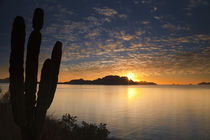 The sunrise over Isla Danzante in the Gulf of California from near Loreto Mexico by Danita Delimont