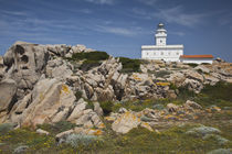 Capo Testa lighthouse by Danita Delimont