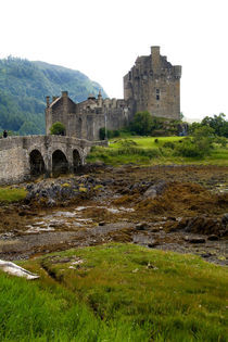 Beautiful Eileen Donan Castle in Western Dornie in Highlands of Scotland by Danita Delimont