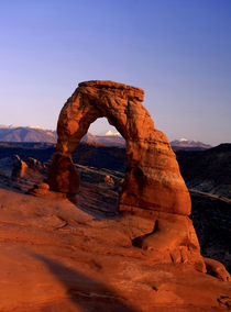 Delicate Arch at Sunset with snow covered La Sal mountains in the background von Danita Delimont