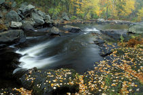 Autumn leaves at Packers Falls on the Lamprey River von Danita Delimont