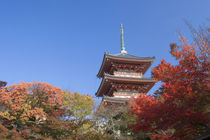 Pagoda in Autumn colour by Danita Delimont