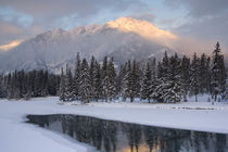 Edith and Sawback Range with reflection in Spray River von Danita Delimont