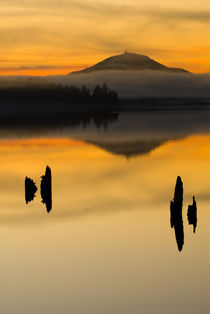 Sunset on Lake Quinault von Danita Delimont
