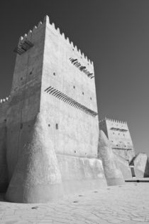 Traditional Arabian Gulf Defensive Structure von Danita Delimont