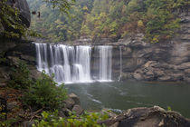 Cumberland Falls on the Cumberland River in Cumberland Falls State Resort Park von Danita Delimont