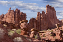View of Fisher Towers by Danita Delimont