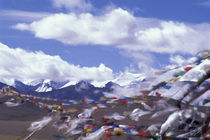The Himalayas behind von Danita Delimont