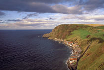 Overhead view of cliffside village of Crovie von Danita Delimont