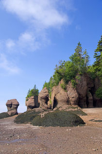 Hopewell Rocks at low tide (aka Flowerpot Rocks) by Danita Delimont