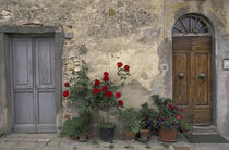 Tuscan doorway; Castellina in Chianti by Danita Delimont