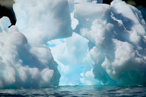 Ice Bergs off of the southern tip of South Georgia island von Danita Delimont