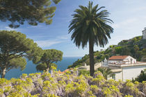 Ravello: Garden View from the Villa Rufolo by Danita Delimont