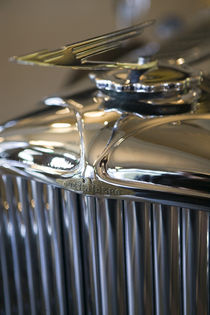 1930's Duesenberg Grille von Danita Delimont