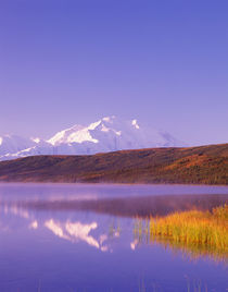 McKinley in morning light from north end of Wonder Lake by Danita Delimont