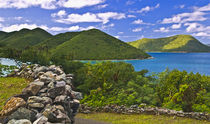 Virgin Islands with a view of Leinster Bay by Danita Delimont