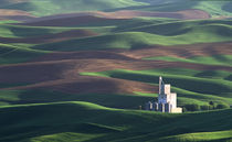 The Steptoe grain elevator from Steptoe Butte by Danita Delimont