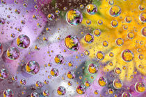 Bubbles abstract with flowers by Danita Delimont