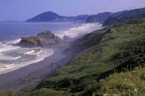 Oregon coastline and seastacks von Danita Delimont