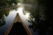 Canoeing Alexander Springs Creek early morning von Danita Delimont