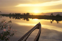 Burma (Myanmar) Sunken fishing boat reflecting the sunset on Inle Lake by Danita Delimont