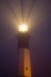 Tybee Island Lighthouse at dawn von Danita Delimont