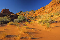 Sand at Paria Wilderness in Utah by Danita Delimont