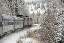 VIA Rail Snow Train between Edmonton & Jasper von Danita Delimont