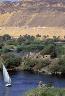 Nile River at Aswan by Danita Delimont