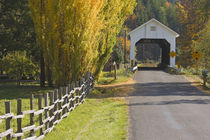 View of Nelson Mountain Bridge by Danita Delimont