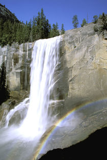 Vernal Falls and rainbow by Danita Delimont