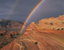 Northern Arizona by Danita Delimont