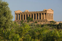 The Temple of Concordia (430 BC) by Danita Delimont